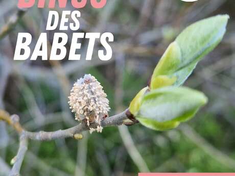 Les Ateliers des Babets : Grand Bingo des Babets