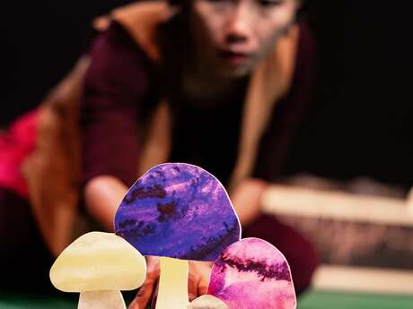 Spectacle musical illustré : Le silence des champignons
