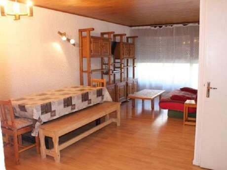 Appartement Deux Alpes Isère à 100m des pistes de ski