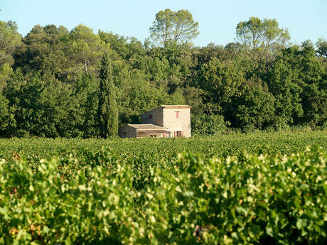 Domaine de la Gravière