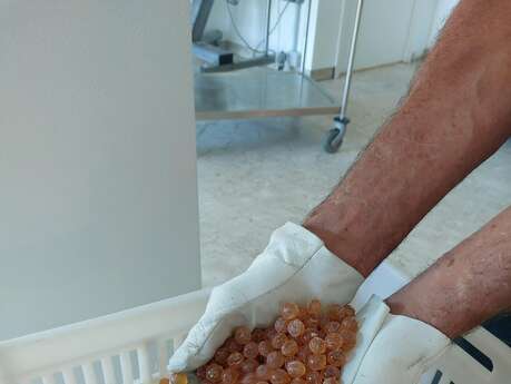 Confiserie et miellerie des 3 ours