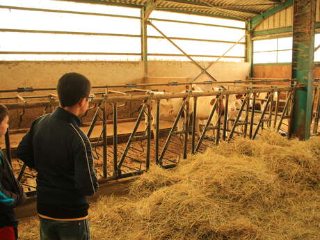 Ferme aux 4 vents - visite en famille