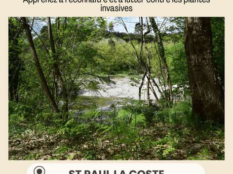 La Chasse aux plantes invasives