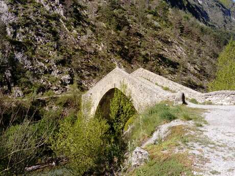 Pont de la reine Jeanne