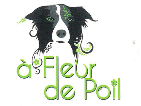 A Fleur de Poil