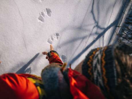 Randonnée découverte traces et indices des animaux