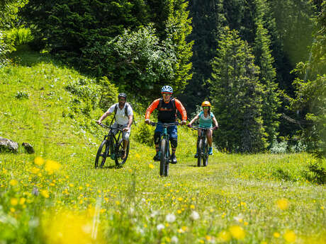 E-Bike route -Tour du Mont de Grange from Châtel (N°23)