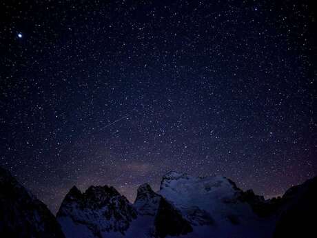 A la découverte de la vie nocturne et du ciel étoilé