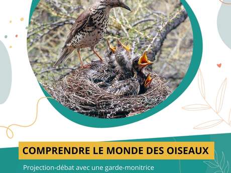 À la découverte du monde des oiseaux