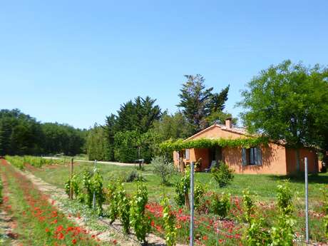 Le Cabanon - Domaine des Finets