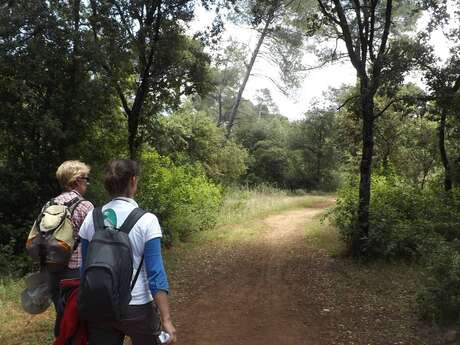 MÉRINDOL - Petit tour de La Garrigue