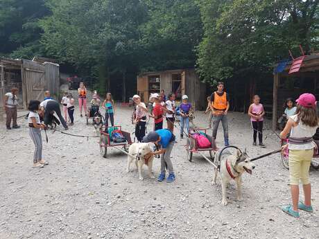 Journée des petits mushers