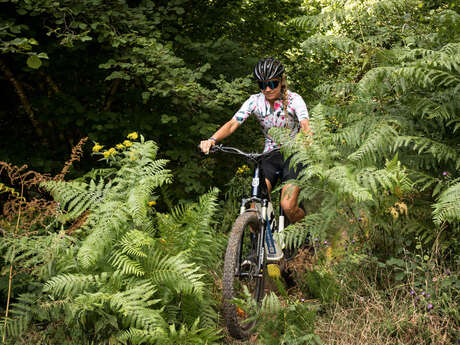 Circuit VTT Les Petits Murcins