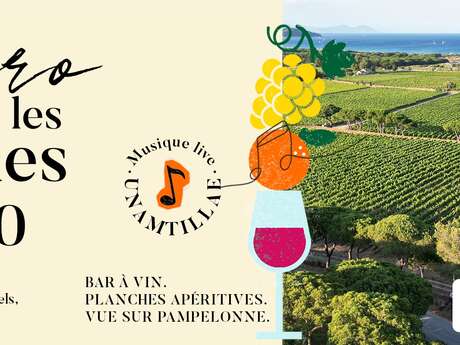 Wine Tasting in the Vineyards