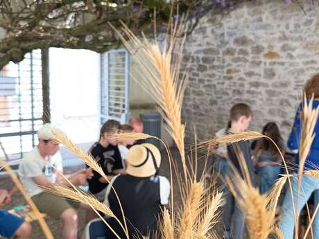 Atelier tressage de paille