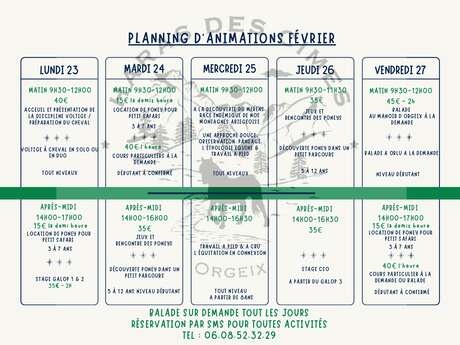 "Pony rental for Petit Safari" at Haras des Cîmes