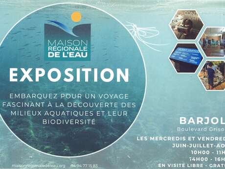 Exposition : Les milieux aquatiques et leur biodiversité