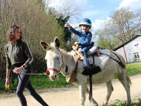 Balade à dos d'âne - La Ferme de la Marinette