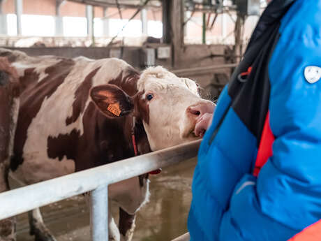 Visite et diner à la ferme
