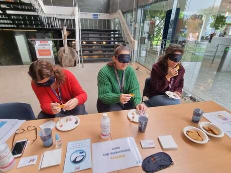 Atelier accessibilité universelle