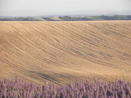 Le Castellet