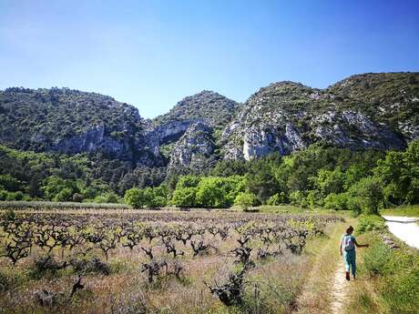 Horizons Luberon - Collectif d'accompagnateurs en Montagne