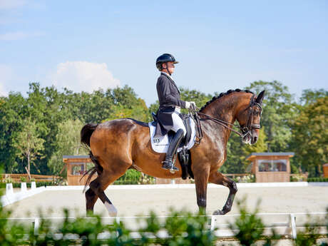 Championnat européen de dressage FEI
