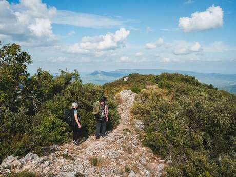 AURIOL - Le tour de la Lare