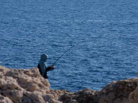 Sustainable fishing workshop: become guardians of our oceans