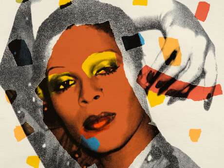 Conférence : Andy Warhol, la ligne et l'image