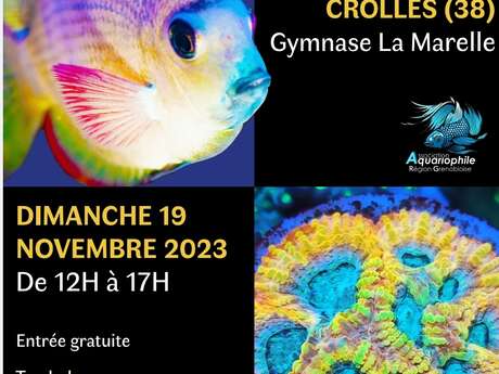 Bourse aux poissons d'aquarium