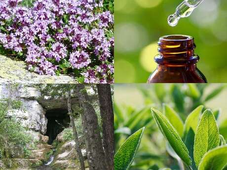 Distillerie du Bois de Païolive "Flor'Ardèche"