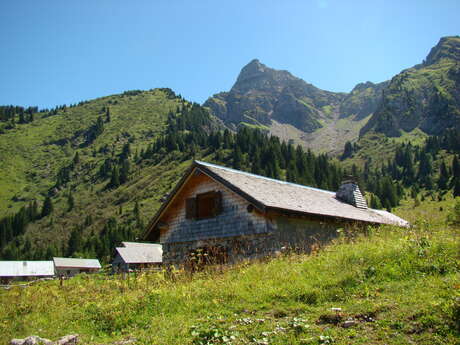 Les chalets de Pertuis (boucle)