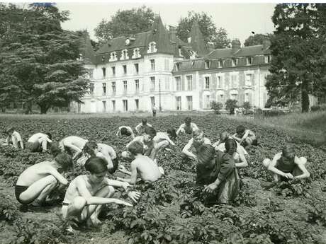 The hour of discovery: children in the turmoil of the Second World War
