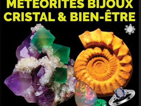Salon des Fossiles et des Minéraux