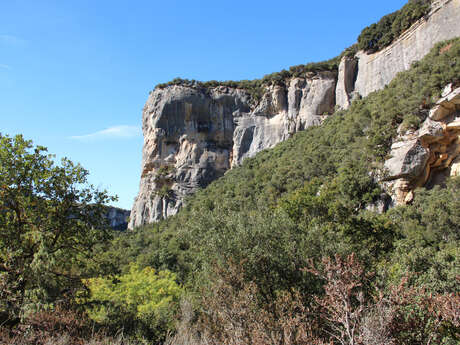 Les falaises de Buoux