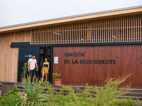 Balade sensible dans la mangrove