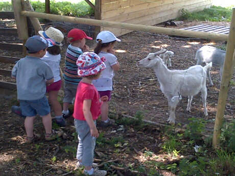 A la découverte de la ferme