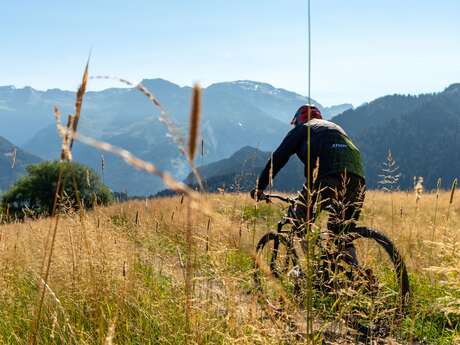Itinéraire VTT de descente - Le Grand Crêt