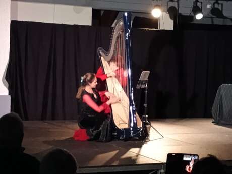 Cuerpo y Arpa, spectacle harpe et flamenco