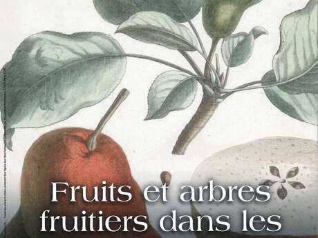 Conférence : Fruits et arbres fruitiers dans les Basses-Alpes