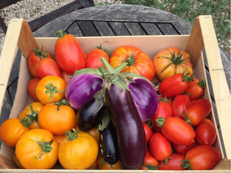 Le Cabanon de San Peyre