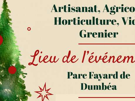 Marché et Vide grenier de Noël au Parc Fayard