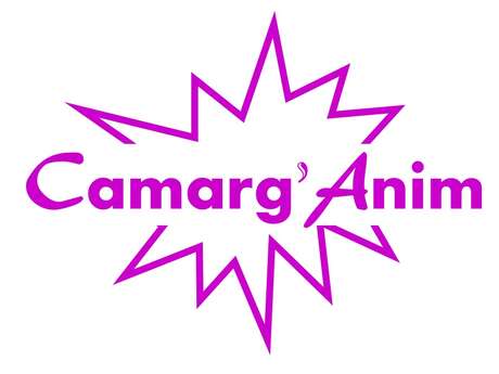 Marché de Noël au Village Camarguais à Arles