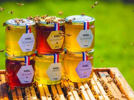 Initiation à la dégustation aux Abeilles de Méllonia