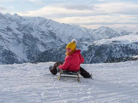 Descente géante en luge