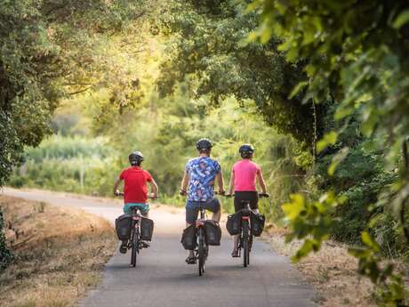 SAINT-RÉMY-DE-PROVENCE - Les jardins de Mistral à vélo
