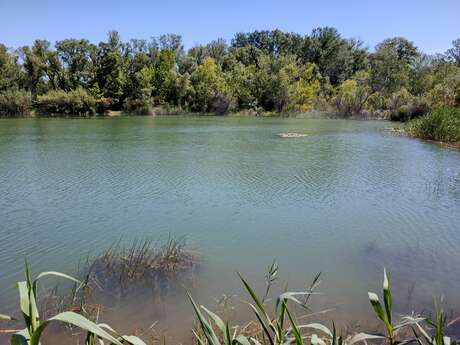 Lac des Iscles