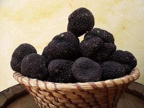 La Rabasse de l'Enclave