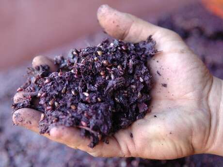 Cave des Bons Sachants